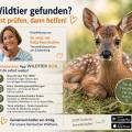 Fundtiere