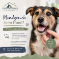 Mundgeruch beim Hund – oft steckt mehr dahinter als einfach nur ’schlechter Atem“