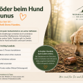 Giftköder im Taunus – was Hundehalter wissen sollten